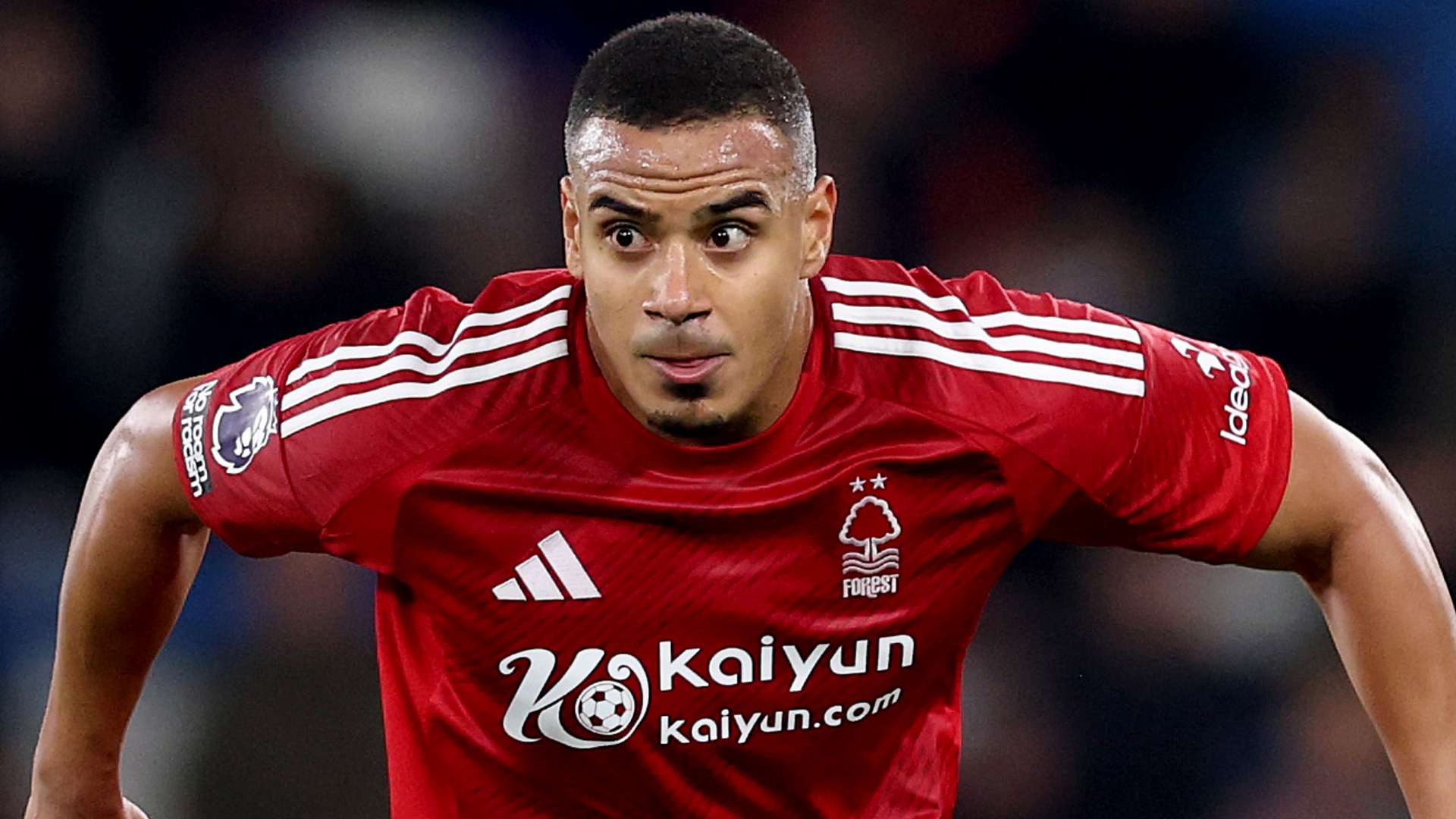 塞维利亚与纽卡斯尔队徽演变历程探析与比较